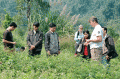 Ngăn ngừa và quản lý sinh vật ngoại lai ở Cúc Phương